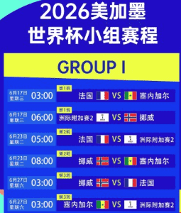 中国球迷助威